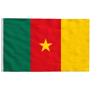 Bandera de Camerún Poliéster 150×90 con Ojales
