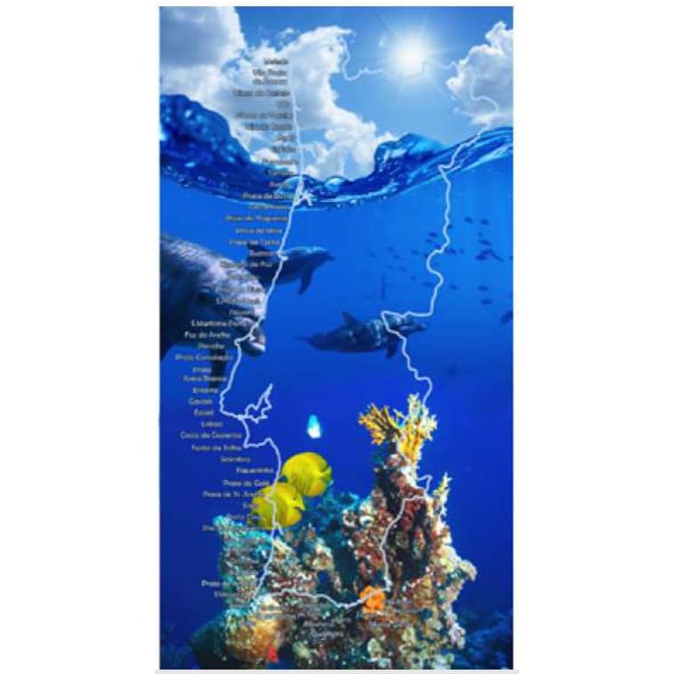 Dolphins With Map of Portugal Microfiber Beach Towel - Image 2