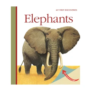 "My First Discoveries – Elephants" - Livro Infantil em Inglês sobre Elefantes